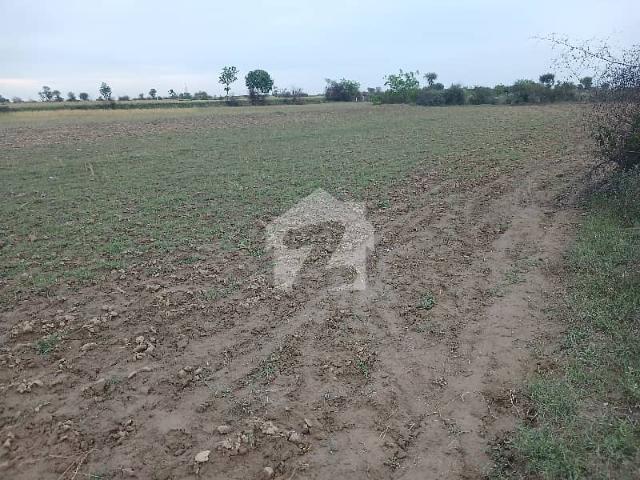 30 Kanal Agriculture And Faram House Land For Sale Interchange Balksar Chakwal