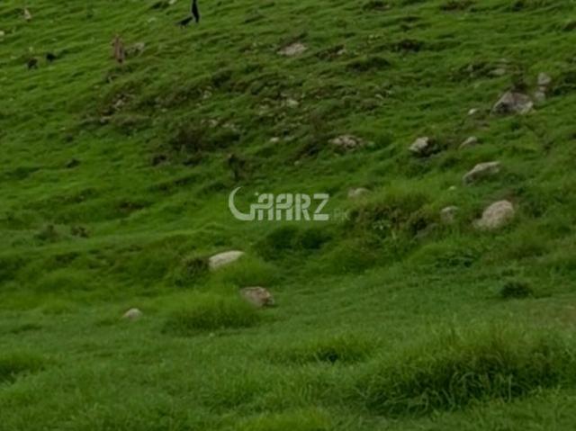 30 Kanal Land for Sale in Abbottabad Kohala Bala