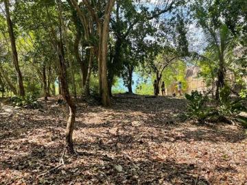 30 metros de frente en Laguna de Bacalar! Superficie 3,098 m2 a la Venta
