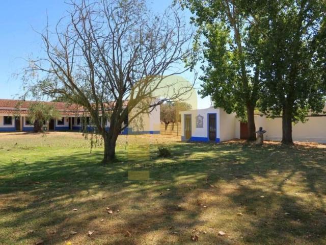 30 quarto, Montemor Montemor 103777602