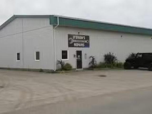 30 Reids Lane, Deer Lake, NL, A8A 2A2 commercial for sale L.
