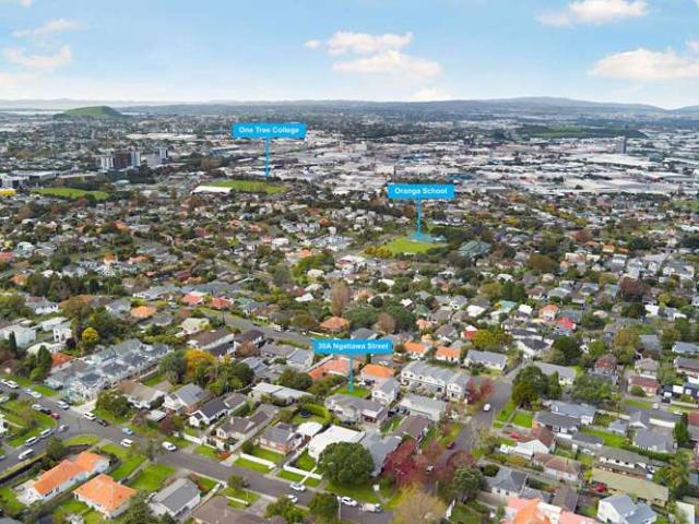 30A Ngatiawa Street, One Tree Hill, Auckland City