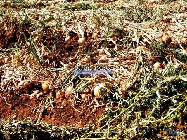 30ha terra agrícola com água. Portugal, Figueira de Castelo Rodrigo. | 26063726465