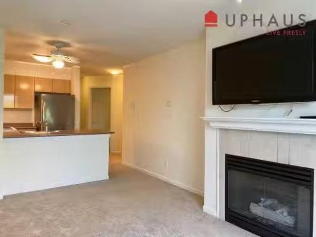 3104 1255 Seymour Street, Vancouver, BC, V5Z 4R9 lease for l.