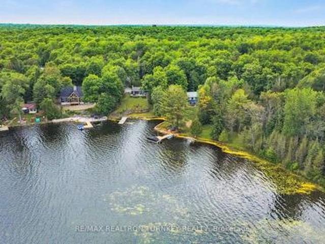 310 Northern Avenue, Trent Lakes, ON, K0M 1A0 house for sale | Listing ID X12248 | Royal LePage