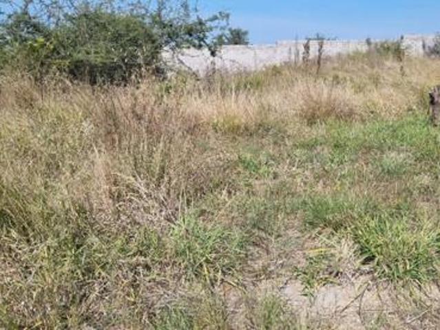 311 m² Land available in Mahlasedi Park