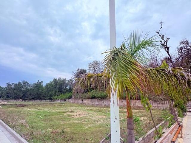 312 Sq.Yd. Plot in Biharigarh Dehradun Listing ID: #10311