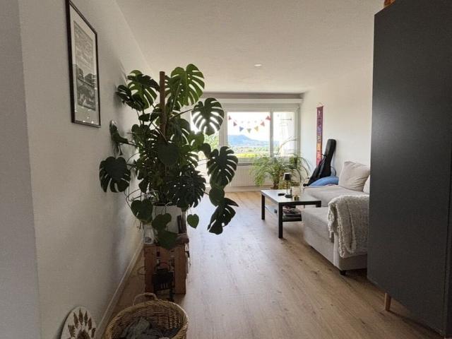 31/2 ROOM APARTMENT IN BOLLIGEN BE, FURNISHED, TEMPORARY