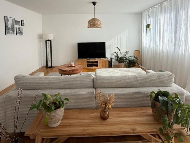 31/2 ROOM APARTMENT IN BRUNNEN SZ, FURNISHED, TEMPORARY