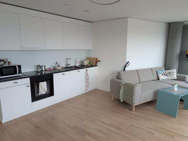 31/2 ROOM APARTMENT IN OSTERMUNDIGEN BE, FURNISHED, TEMPORARY