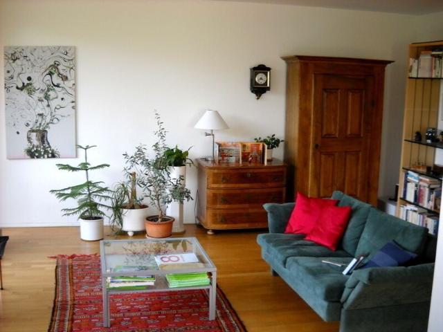 31/2 ROOM APARTMENT IN WORB BE, FURNISHED