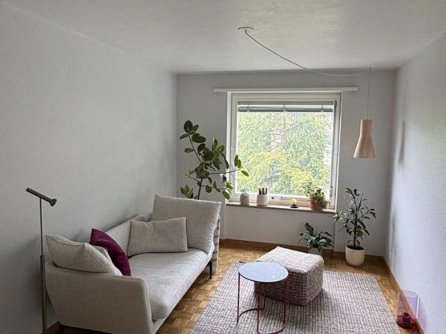 31/2 ROOM APARTMENT IN ZURICH DISTRICT 6, FURNISHED, TEMPORARY