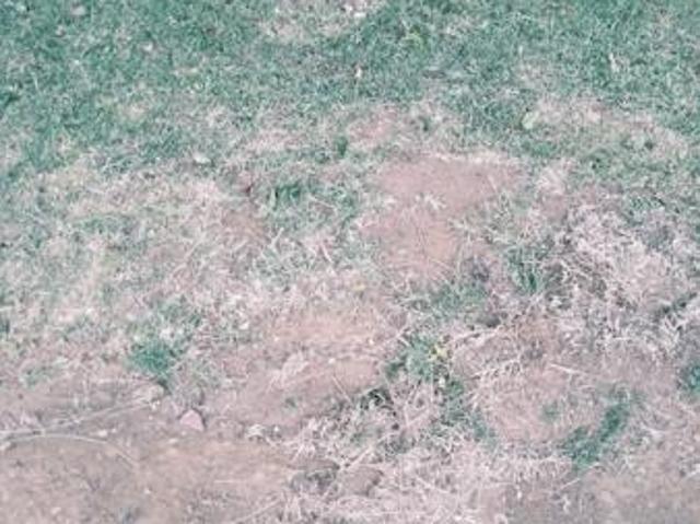 313 m² Land available in Trichardt