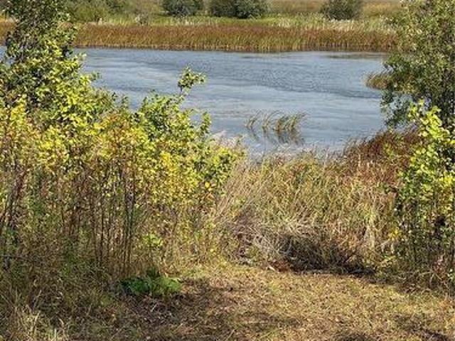 313 Ravine Road, Big Shell, SK, S0J 2G0 vacant land for sale | Listing ID SK037025 | Royal LePage