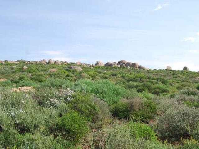 314 m² Land available in St Helena Views