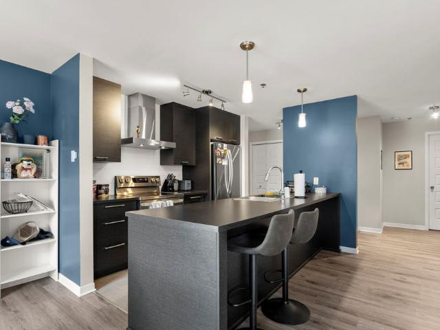 3157 Boul. de la Gare, apt. 303