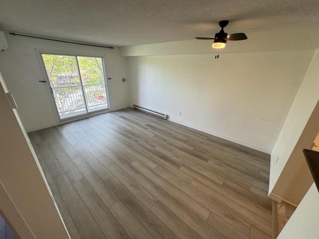 316 Kingsdale Avenue 1 Bedroom Apartment for Rent at 316 Kingsdale Ave, Kingston, ON K7M 8S2 Meadowbrook