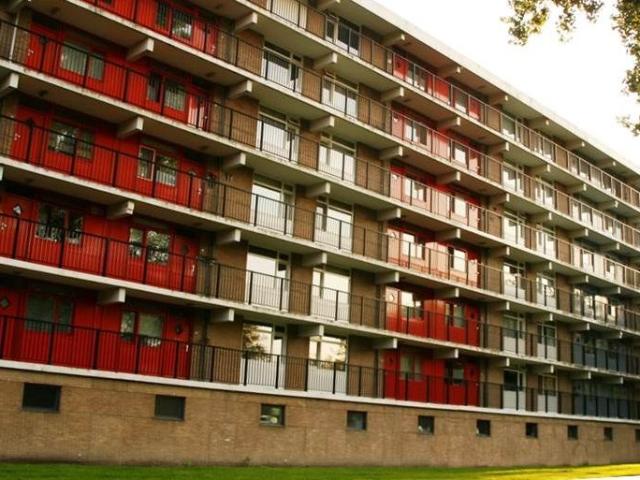 318, Argostraat, 2402 CE, Alphen Aan Den Rijn