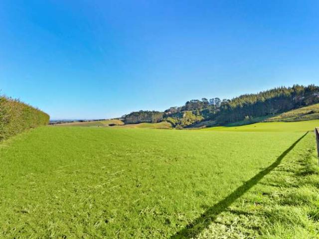 318 Settlement Road, Pukekohe, Franklin