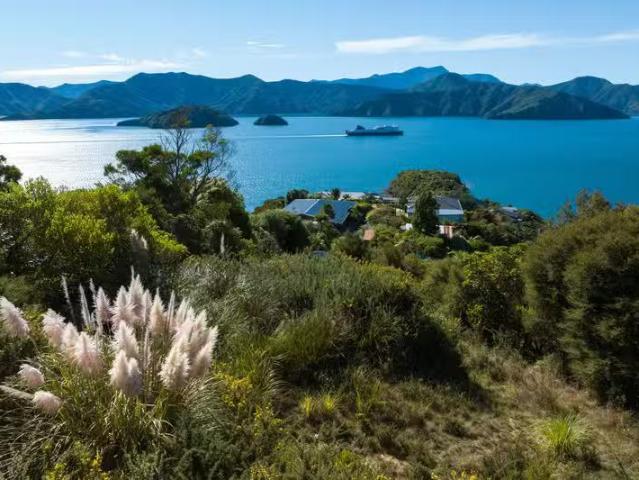 318 Port Underwood Road, Waikawa, NZ 7220 Section Res for Sale