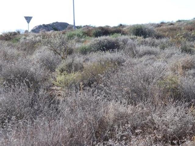 319 m² Land available in St Helena Views