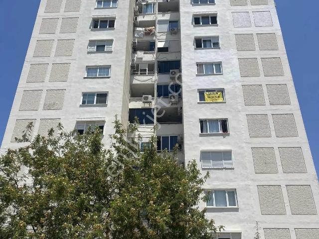 3+1 Arakat Daire