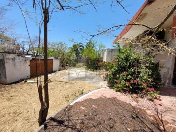 Terreno En Venta En Buenavista, Mérida