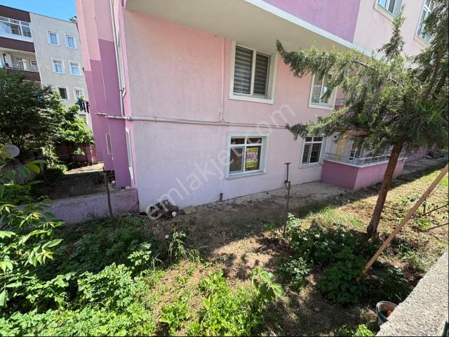 3+1 Kiralık