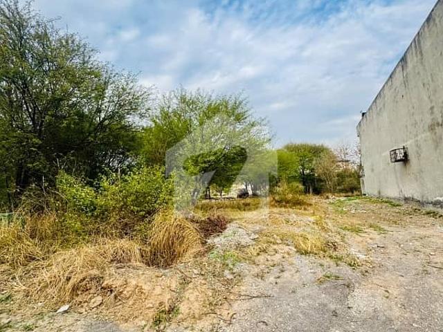 3200 Square Feet Residential Plot Up For sale In D 12/2