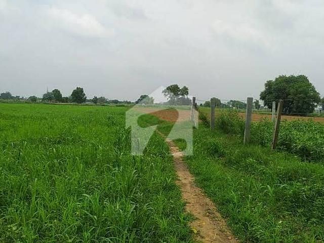 320 Kanal Land For Sale