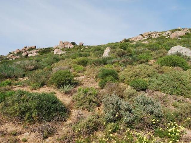 323 m² Land available in St Helena Views