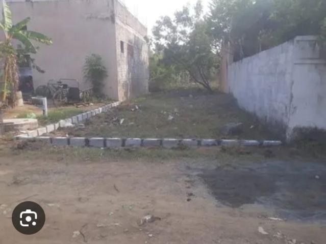 323 Sq.Mt. Plot in Sector 122 Noida Listing ID: #10027