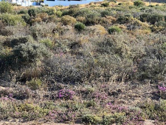 324 m² Land available in St Helena Views