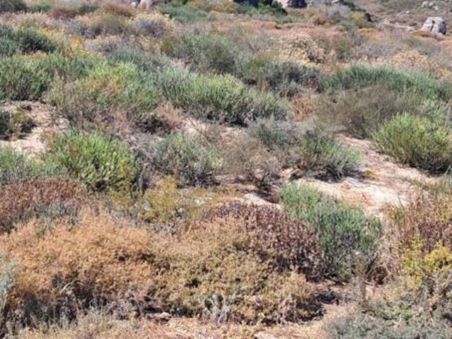 324 m² Land available in St Helena Views
