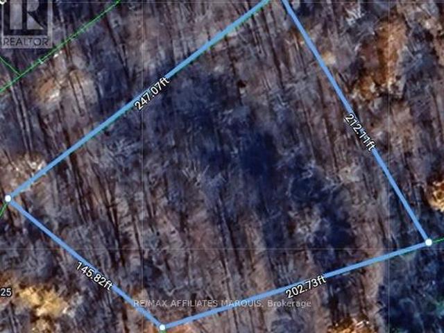 325 Cedar Sands Road, Rideau Lakes, ON, K0E 1N0 vacant land for sale | Listing ID X13217 | Royal LePage
