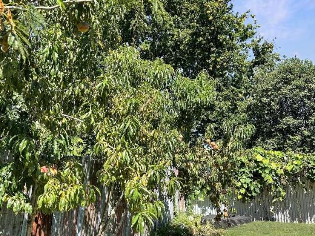 32 Brian Avenue, 2120, Wairoa