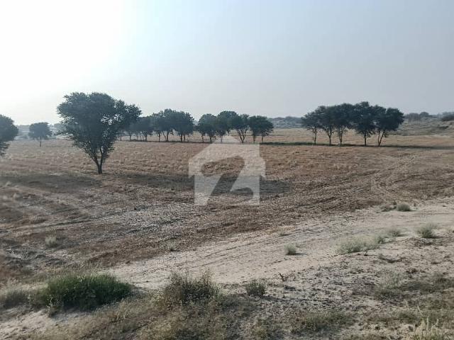 32 kanal agri land for dairy forming or control shed or wair house or form house from MULTAN 20 km head Muhammad wala