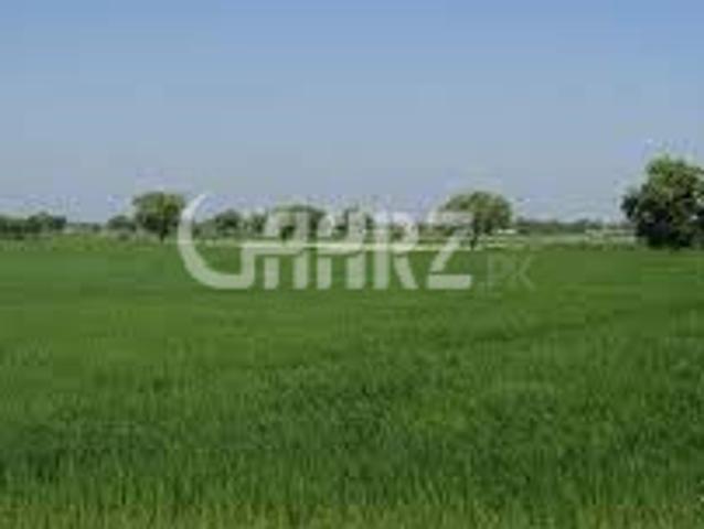32 Kanal Agricultural Land for Sale in Bahawalpur Chak No 44/dnb, Tehsil Yezman District Bahawalpur