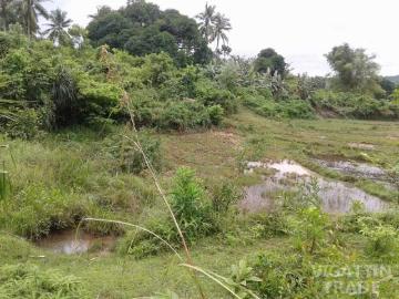 33000 sqm san lorenzo Guimaras Property