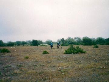 330 hectareas en venta en R?O VERDE SAN LUIS POTOSI