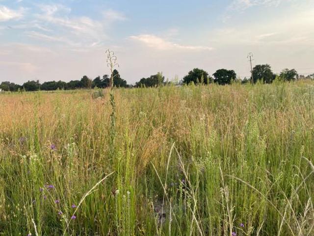 330 m² Land available in Unitas Park