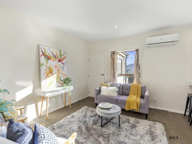 3/33 Tory Street, Petone