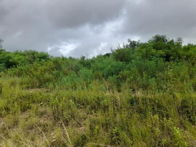 336 m² Land available in Belvedere