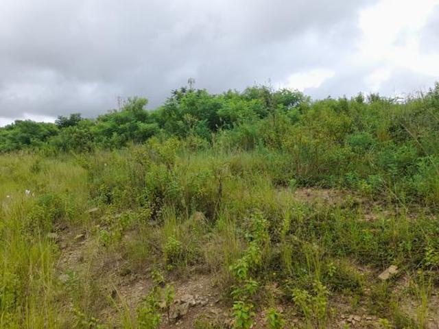 336 m² Land available in Belvedere