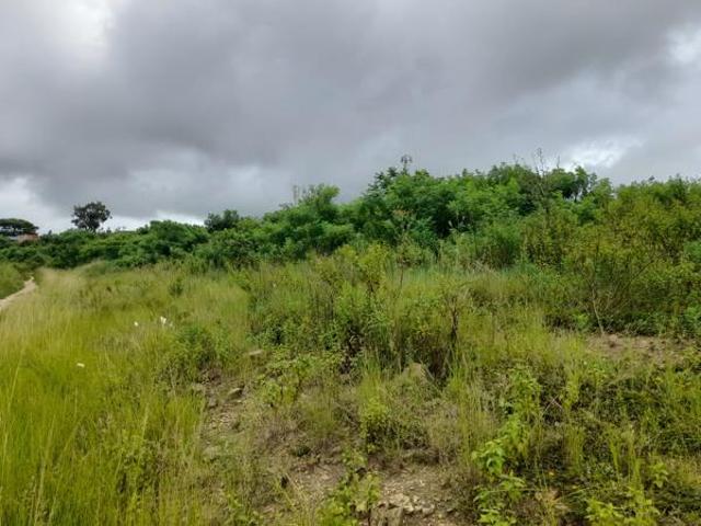 336 m² Land available in Belvedere