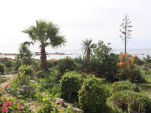 339 m² Land available in Steenbergs Cove