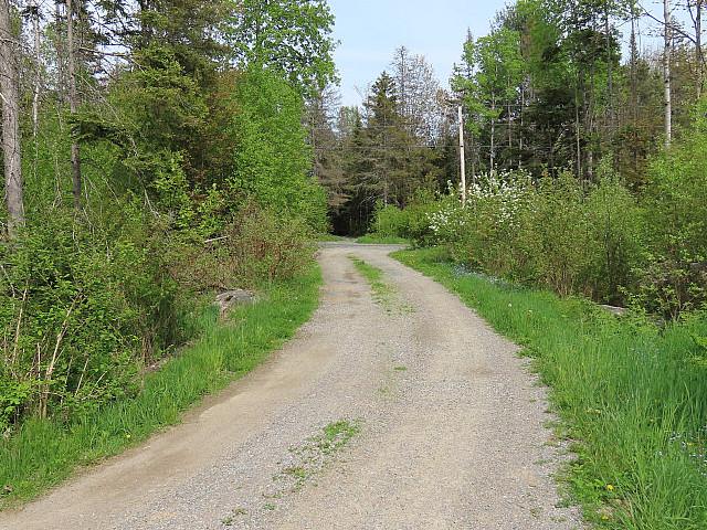 37 Pilgrim St Bruce Mines