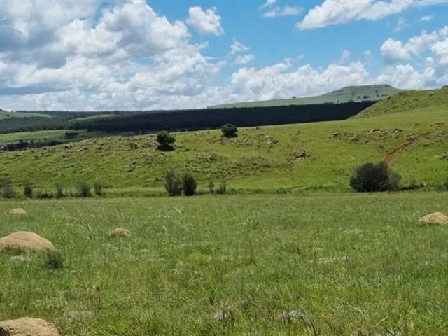 340 ha Farm in Vryheid