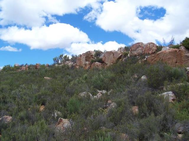 340 ha Land available in Montagu Outlying