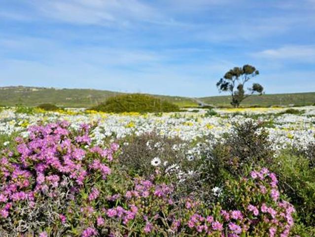 340 m² Land available in St Helena Views